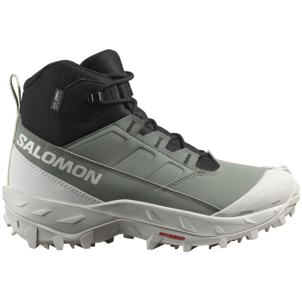 Ženske cipele Salomon Crosstrak Waterproof zelena Agave Green / Black / Canary Green