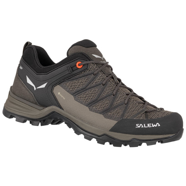 Muške cipele Salewa Ms Mtn Trainer Lite Gtx siva