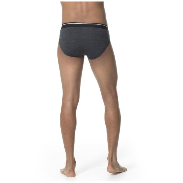 Muško donje rublje Icebreaker Mens Anatomica Briefs