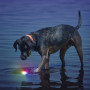 Igračka za psa Nite Ize Glowstreak LED Ball