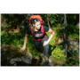 Ženske hlače High Point Versa Lady Pants