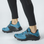 Muške cipele Salomon Wildcross 2 Gore-Tex