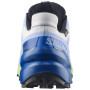 Muške tenisice za trčanje Salomon Speedcross 6 GTX Icon