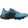 Muške cipele Salomon Wildcross 2 Gore-Tex