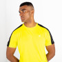 Muška majica Dare 2b Discernible Tee