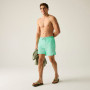 Muške kratke hlače Regatta Mackleyna Swim Short