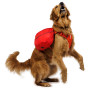 Ogrlica za psa Ruffwear Palisades™ Pack