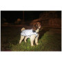 Kabanica za psa Mountain Paws Reflective Fleece-Lined Dog Raincoat