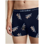 Muške funkcionalne bokserice Icebreaker Men M 150 Anatomica Boxers BearTourAOP