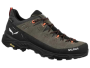 Alp Trainer