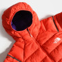Ženska jakna od perja The North Face W Speedtour Down Hoodie