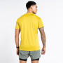 Muška majica Dare 2b Discernible Tee