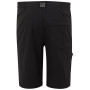 Muške kratke hlače Regatta Highton Shorts Long II