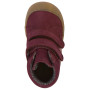 Dječje cjelogodišnje barefoot cipele Froddo Ollie Tex Bordeaux