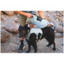 Ogrlica za psa Ruffwear Palisades™ Pack