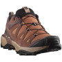 Ženske cipele Salomon X Ultra 360 Leather