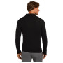 Muške funkcionalne majice Icebreaker M 175 Everyday LS Half Zip