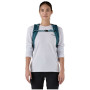 Ruksak Patagonia Black Hole Pack 25L