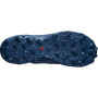 Muška obuća Salomon Wildcross GTX