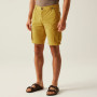 Muške kratke hlače Regatta Shorebay Shorts II