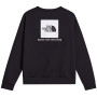Muška dukserica The North Face M Evolution Box Nse Regular Crew