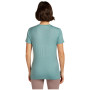 Ženska majica Icebreaker Women Merino 150 Tech Lite SS Tee Terrain