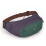 Torbice oko struka Osprey Daylite Waist zelena/crvena axo green/enchantment purple