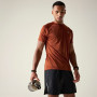 Muška majica Dare 2b Accelerate Tee