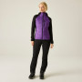 Ženska oudoor jakna Dare 2b Womens Aerofse Padded Hybrid Jacket