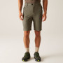 Muške kratke hlače Regatta Highton Shorts Long II