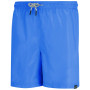 Muške kratke hlače Regatta Mackleyna Swim Short