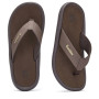 Japanke Gumbies Noosa Brown