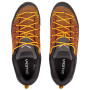 Muške cipele Salewa Ms Mtn Trainer Lite