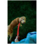 Povodac za psa Nite Ize LED NiteDog