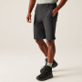 Muške kratke hlače Regatta Highton Shorts Long II