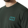 Muška majica Helly Hansen Skog Graphic T-Shirt