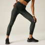 Ženske tajice Dare 2b Influential II Legging