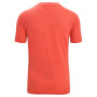 Muške funkcionalne majice Icebreaker Men ZoneKnit™ SS Tee GEODETIC