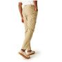 Muške hlače Regatta Dalry Trouser