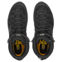 Muška obuća Salewa Ms Alp Trainer 2 Mid Gtx