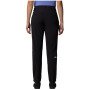 Ženske funkcionalne hlače The North Face Speedlight Regular Pant