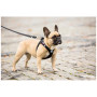 Povodac za psa Curli Adjustable Leash Nylon