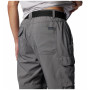 Muške hlače Columbia Silver Ridge™ Utility Convertible Pant