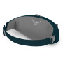 Torbice oko struka Osprey Daylite Waist