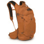 Ruksak Osprey Raptor 14