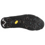 Muške cipele Salewa Ms Mtn Trainer 2 Winter Gtx