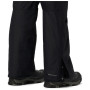 Muške skijaške hlače Columbia Bugaboo™ IV Pant