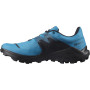 Muške cipele Salomon Wildcross 2 Gore-Tex