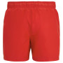 Muški kupaći Regatta Mawson Swim Shorts III