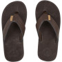Japanke Cool Shoe Colt